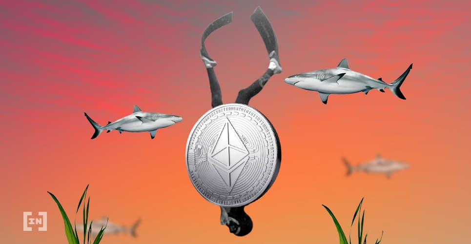 Почему успех Ethereum может стать Пирровой победой