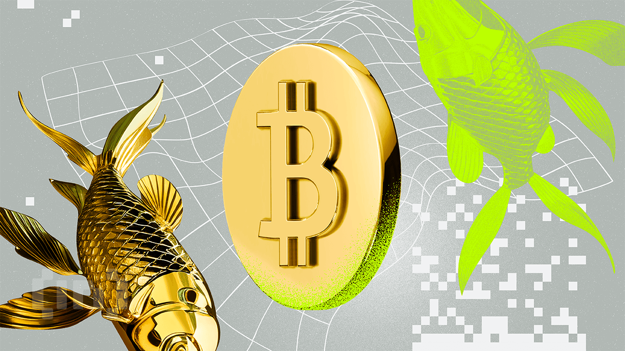 Биткоин против золота: во что выгоднее инвестировать в 2025 году