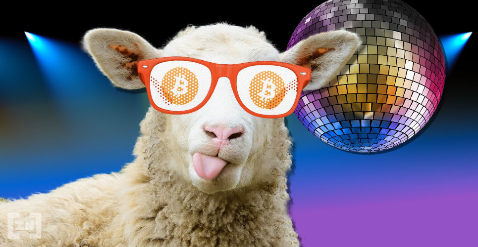 sheep stocks