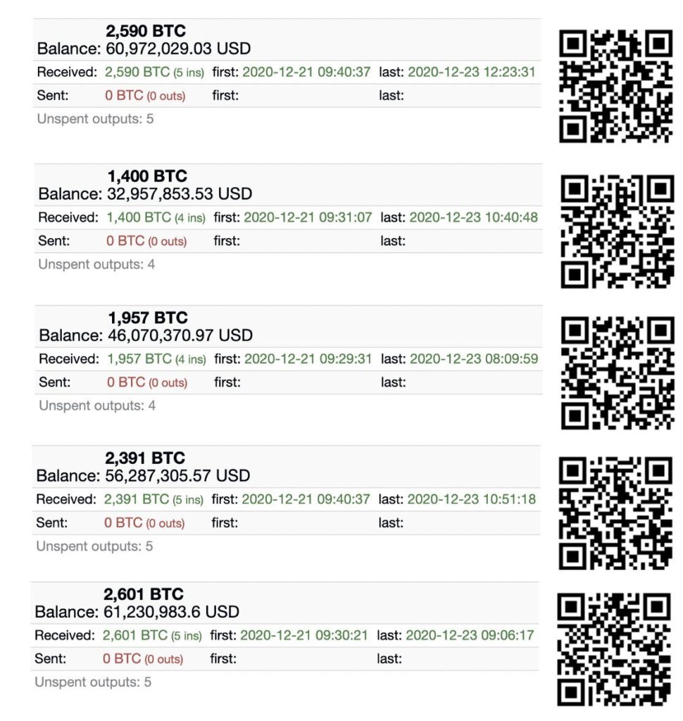 Bitcoin high-net cold wallets 