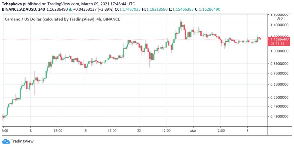 Новограц заинтересовался Cardano