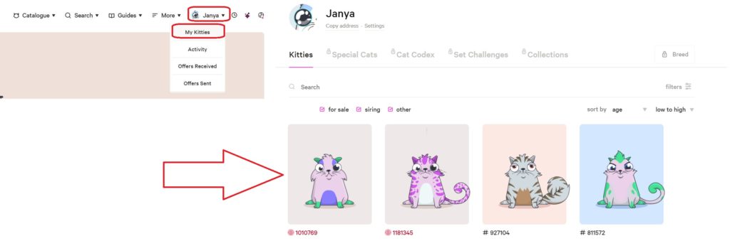 Скрин коллекции котят в личном кабинете CryptoKitties