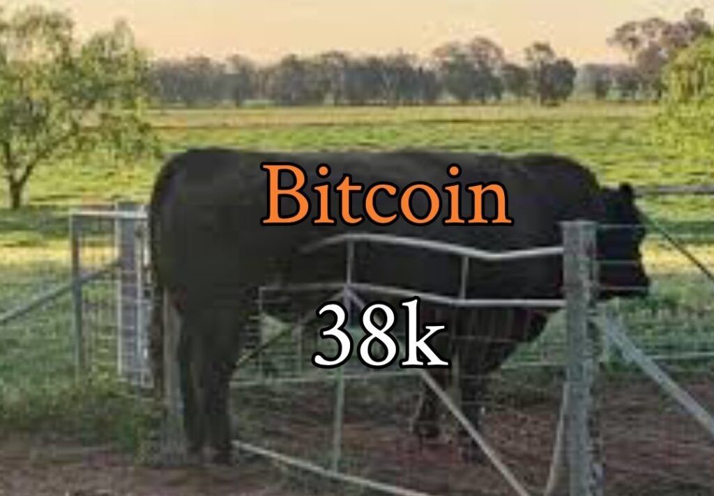 Шутка про биткоин