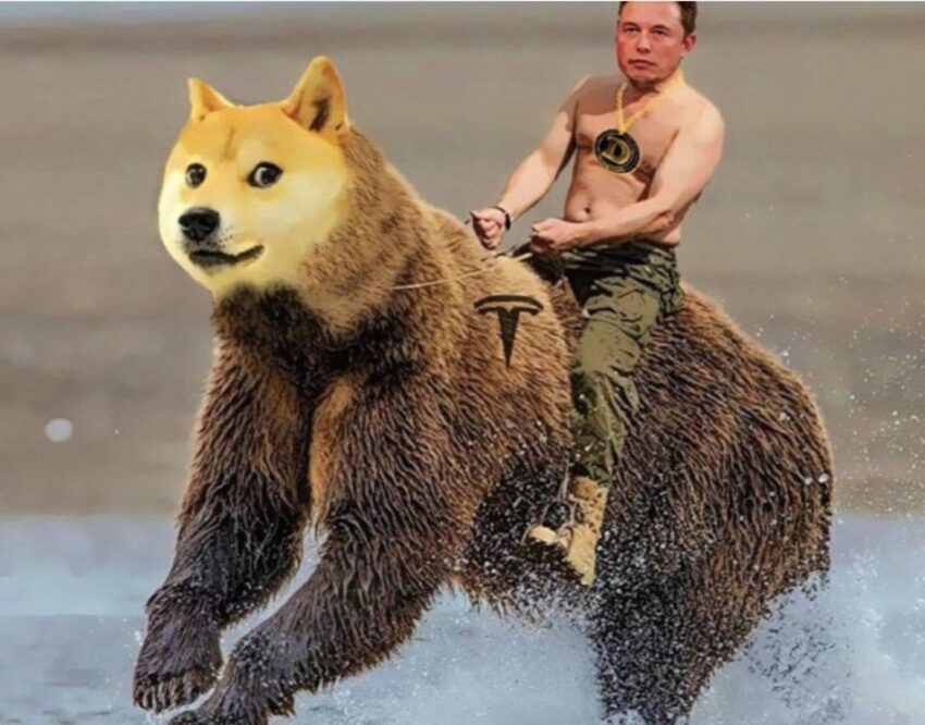 Мем про Dogecoin