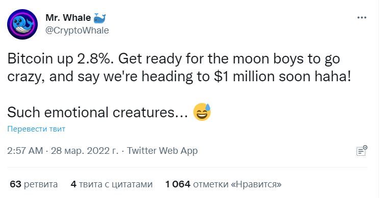 Скрин микроблога Mr. Whale