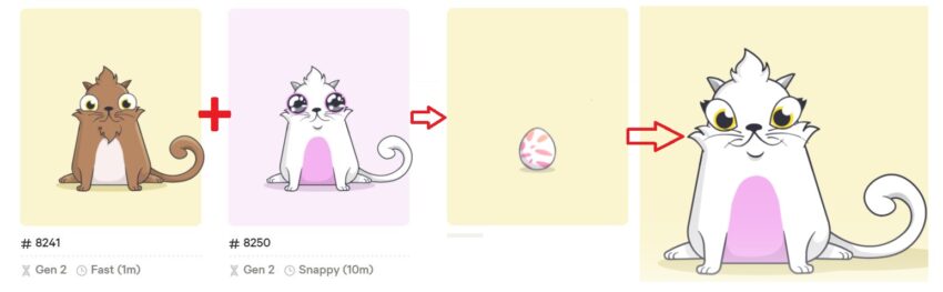 «Размножение» в CryptoKitties