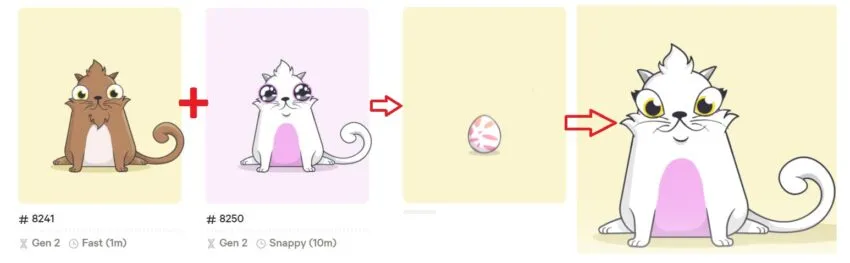 «Размножение» в CryptoKitties