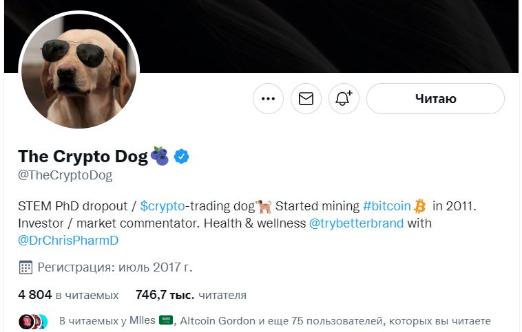 Микроблог The Crypto Dog