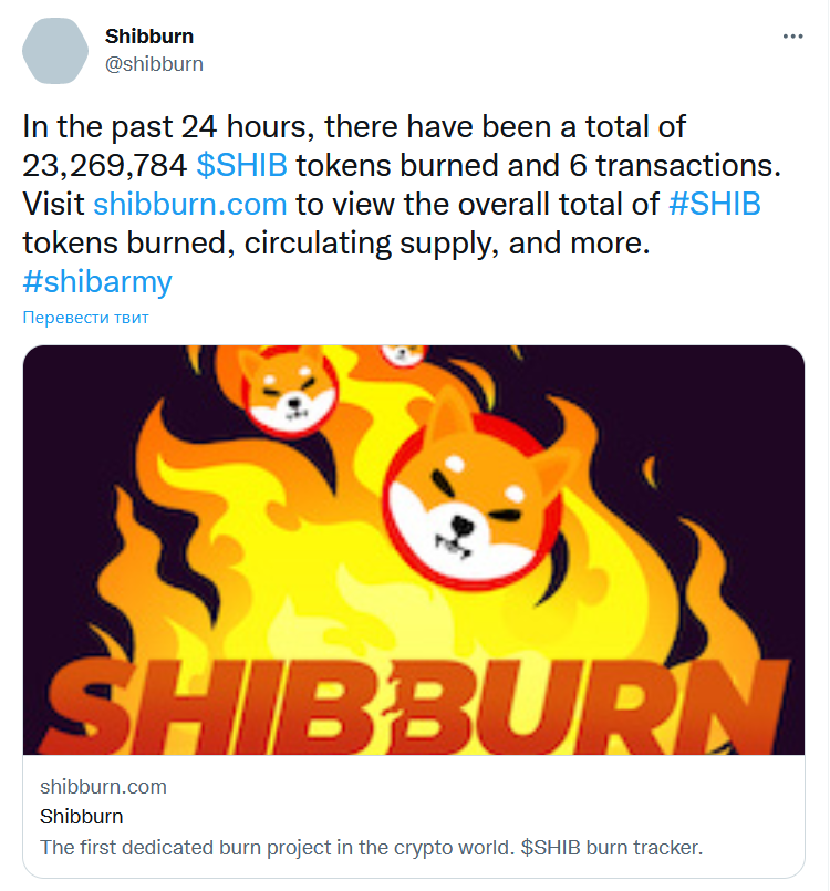 Shiba Inu 
