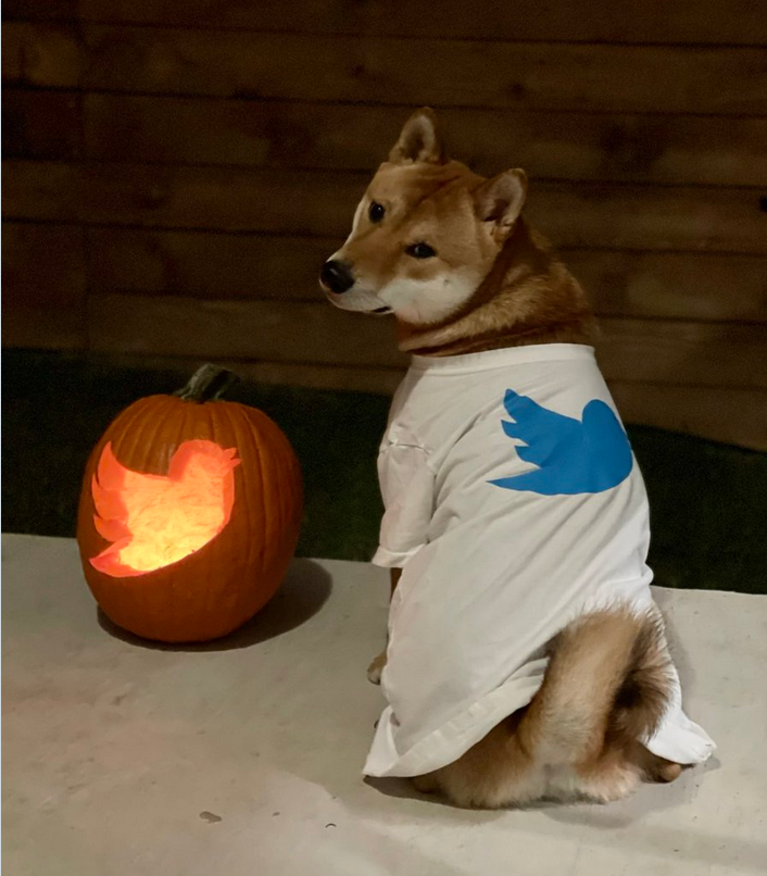 Dogecoin