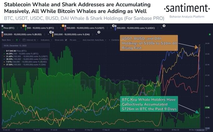 Покупки биткоина и стейблкоинов