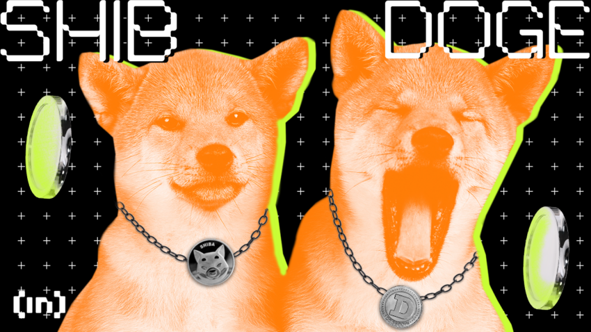 Киты Shiba Inu ожидают скорого восстановления цены SHIB