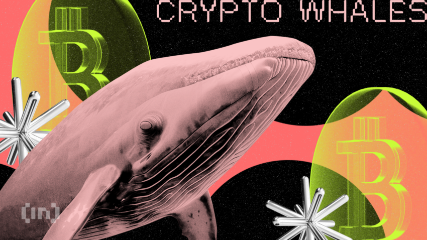 Смогут ли киты подтолкнуть Bitcoin Cash (BCH) выше $300 в августе