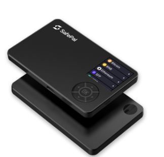 6. SafePal S1