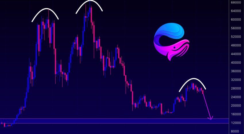 Что будет с биткоином, по мнению WhaleWire