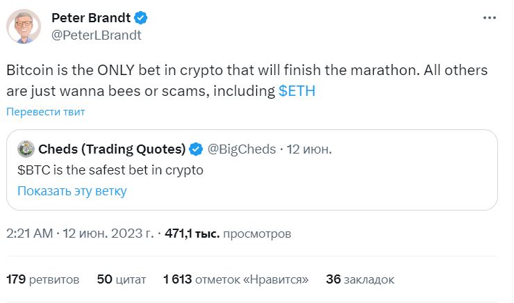 Скрин сообщения Питера Брандта