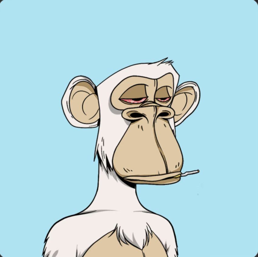 #1626 Bored Ape Yacht Club