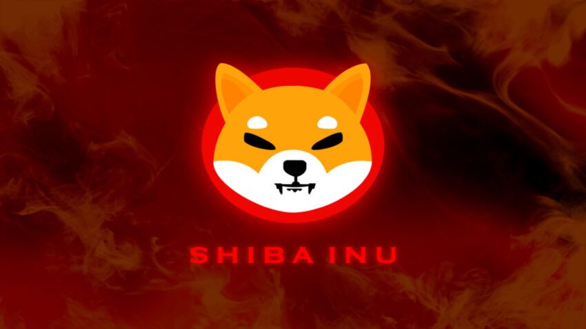 Цена Shiba Inu упала за 2023 год на 10% – возможен ли прорыв