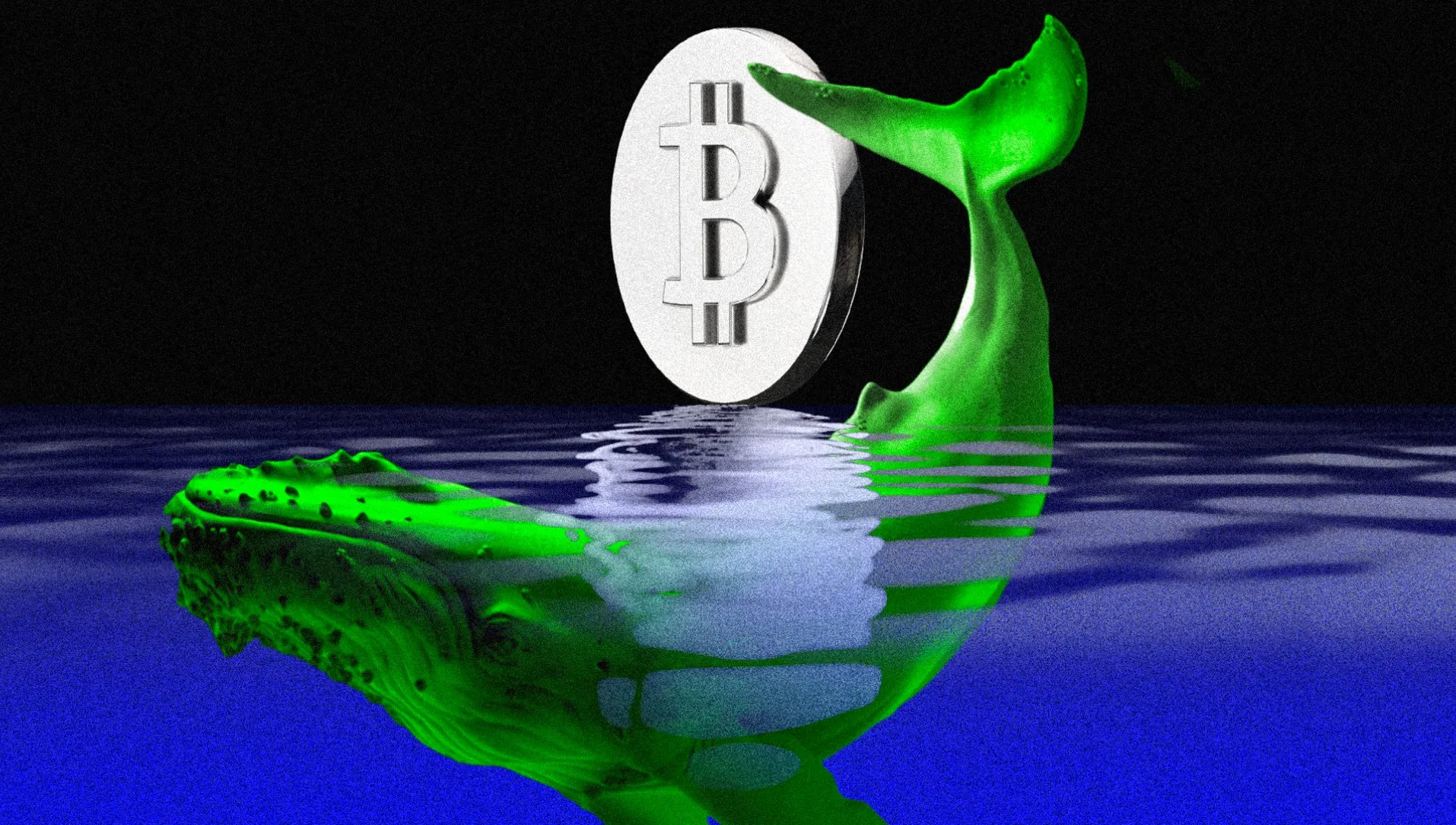 Ралли биткоина (BTC) подстегивается покупателями из США. Чем это чревато для рынка