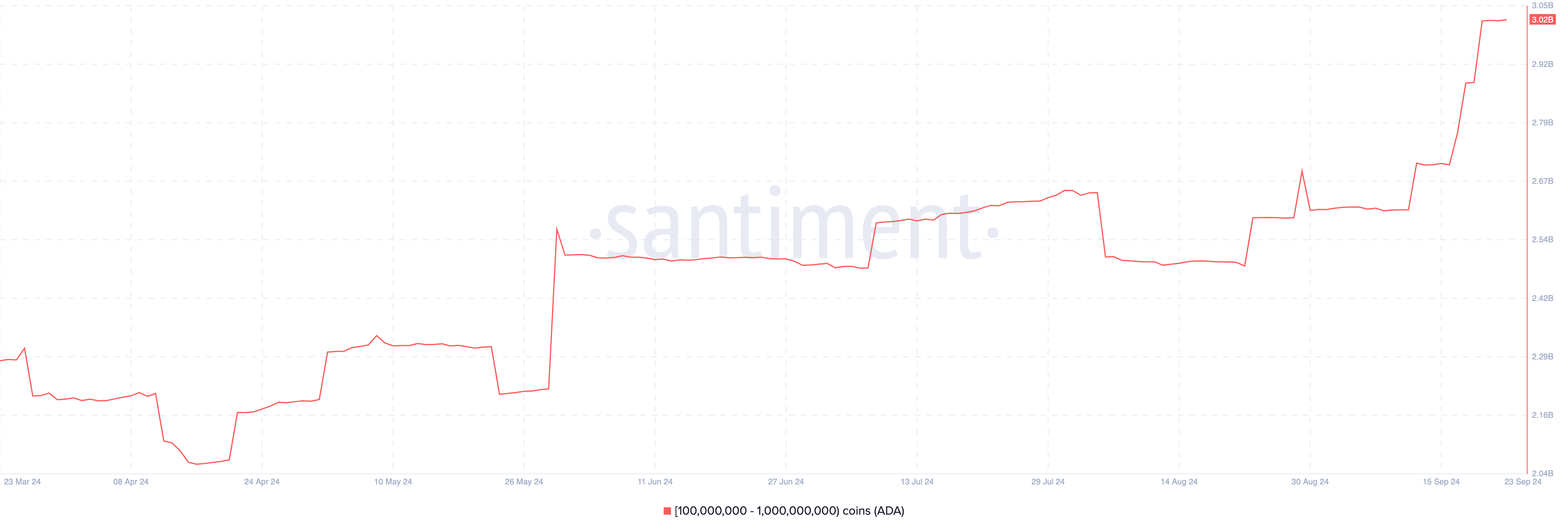 Cardano rising accumulation. 
