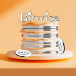 Прогнозы Bitwise на второе полугодие 2025: BTC пробьет $200 000, но SOL и ETH останутся позади