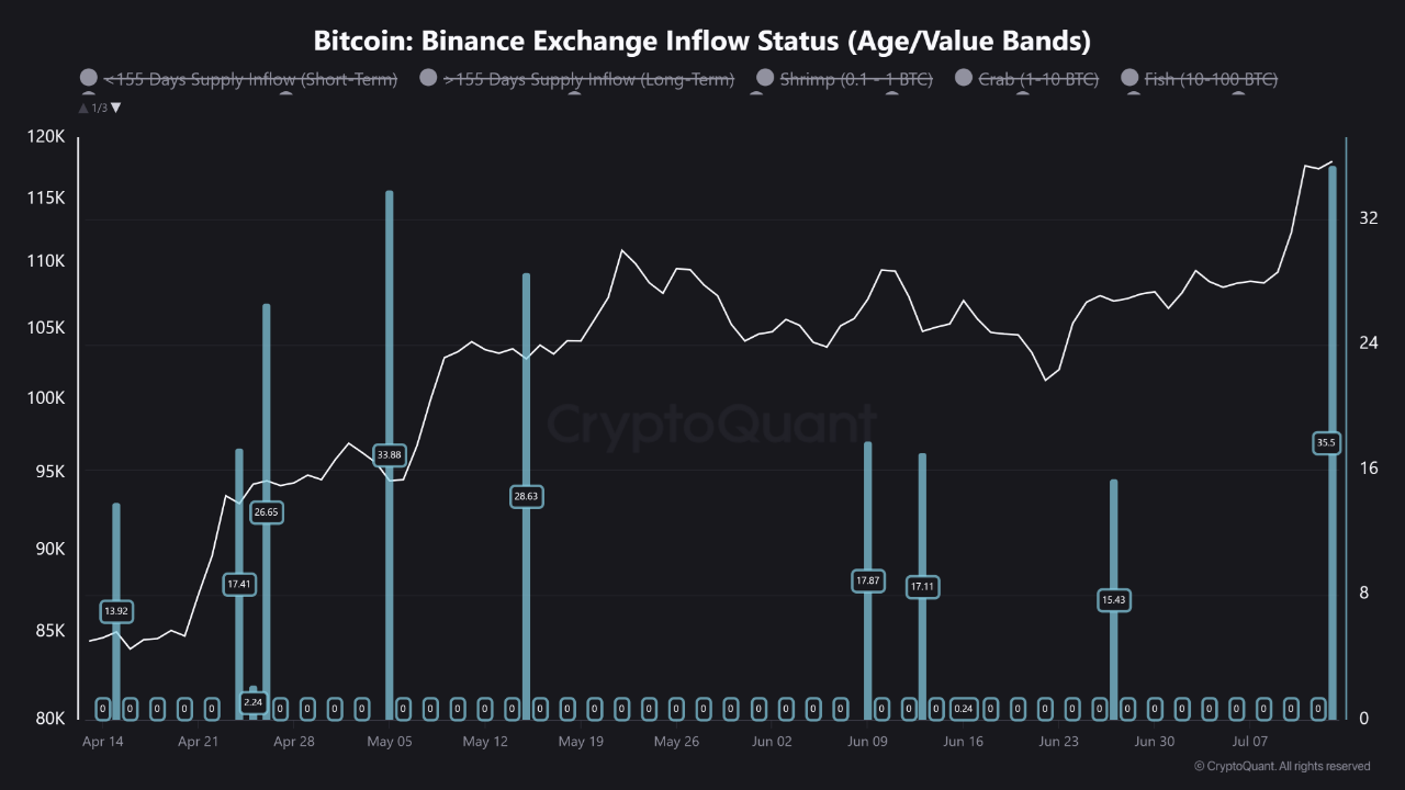 Статус притока на биржу Binance. Источник: CryptoQuant.