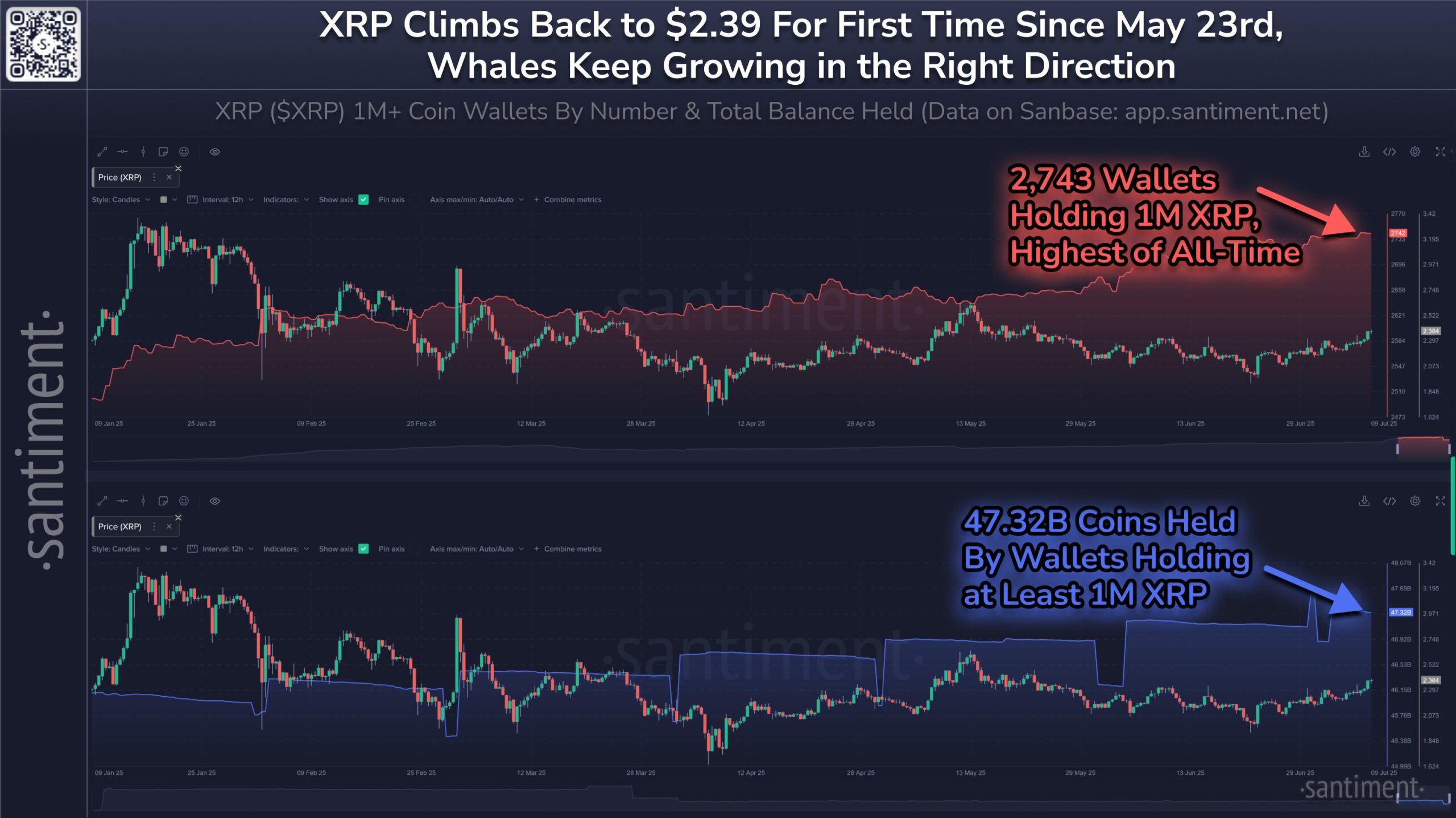 Адреса китов XRP