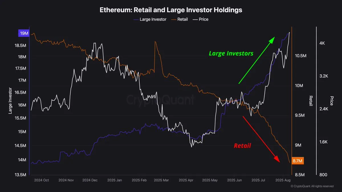 кто покупает Ethereum